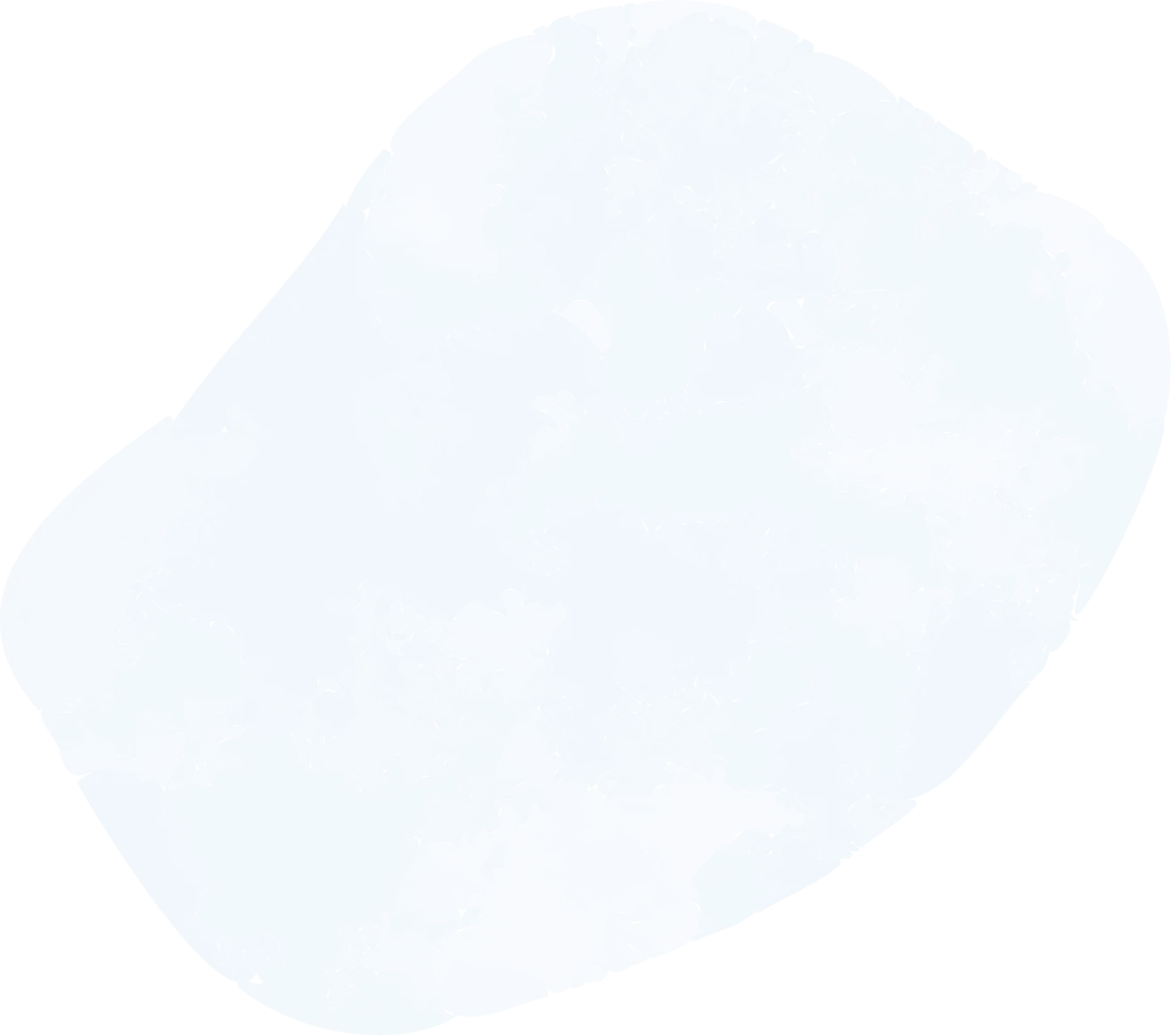 あなたらしい美しさを支える3つの柱